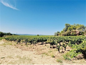 propriete à la vente -   30630  GOUDARGUES, surface 463 m2 vente propriete - UBI477216869